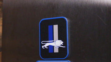 Detroit Lions - SET of 3 Magnets