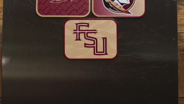 Florida State Seminoles - SET of 3 Magnets