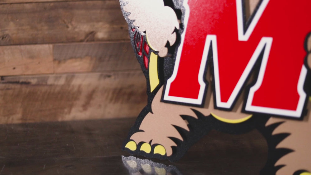 Maryland Terrapins "Testudo" 3D Vintage Metal Wall Art