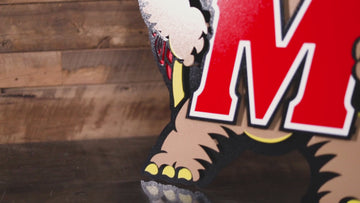 Maryland Terrapins "Testudo" 3D Vintage Metal Wall Art