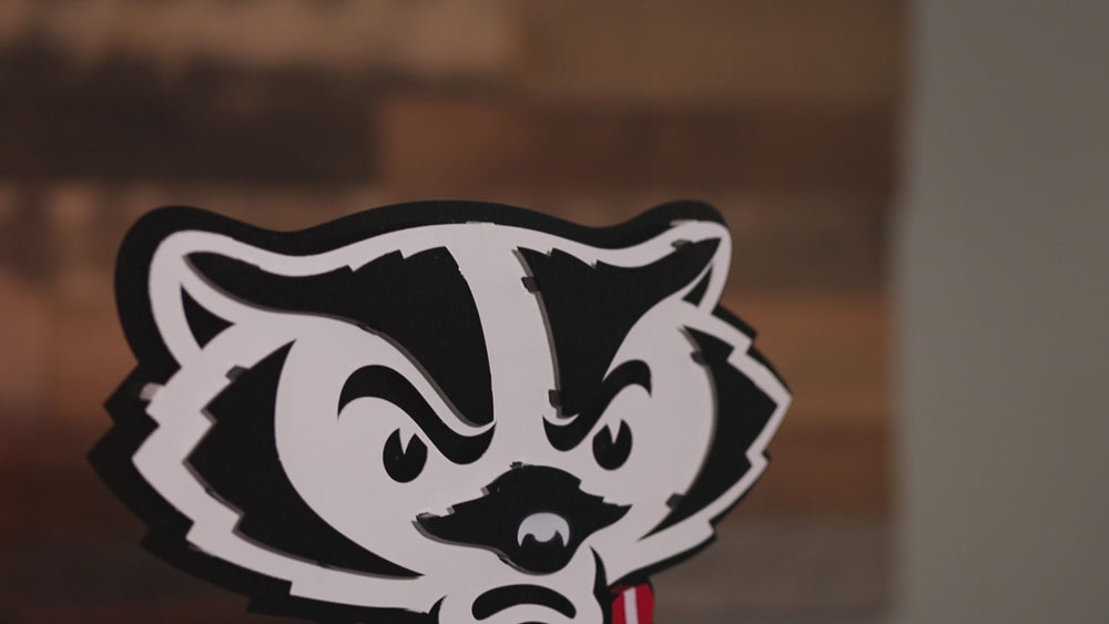 Wisconsin Badgers Mascot Head 3D Vintage Metal Wall Art