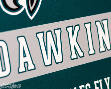 Philadelphia Eagles Personalized Monogram Metal Art