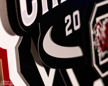 Close Out -- South Carolina Gamecocks 2024 National Champions 3D Metal Wall Art