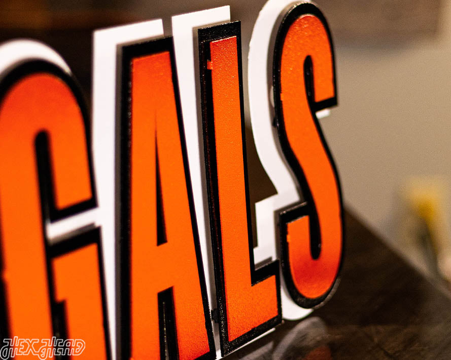 Cincinnati Bengals Wordmark 3D Vintage Metal Wall Art