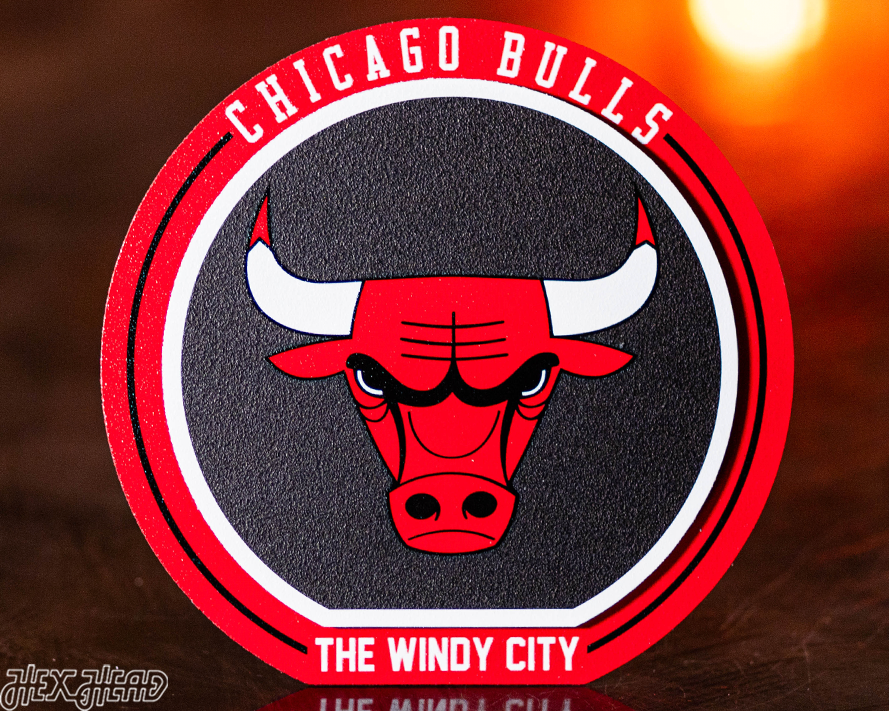 Chicago Bulls "Double Play" On the Shelf or on the Wall Art