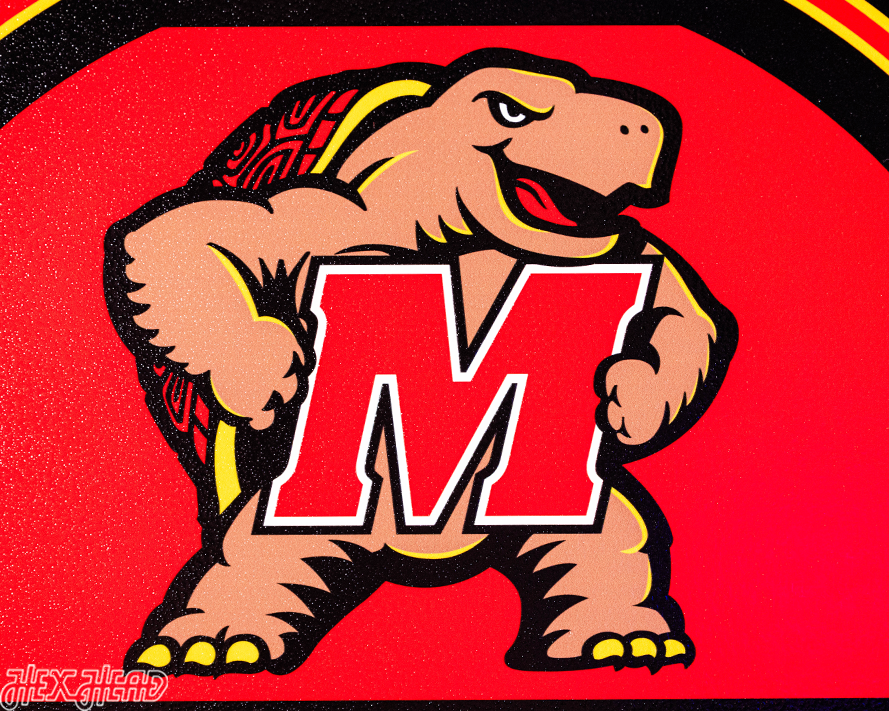 Maryland Terrapins Personalized Monogram Metal Art