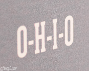 Ohio State Buckeyes Personalized Monogram Metal Art