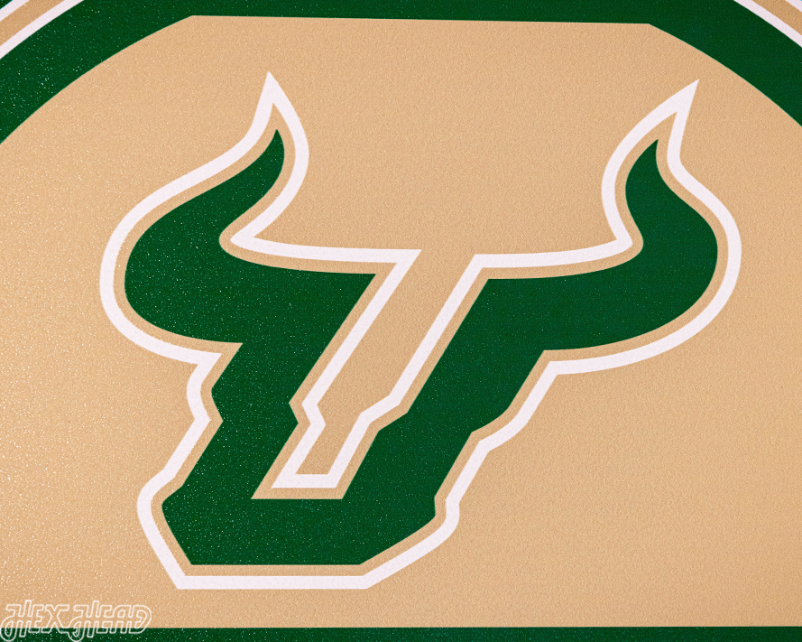 South Florida Bulls Personalized Monogram Metal Art