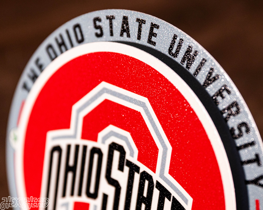 Ohio State Buckeyes "Double Play" On the Shelf or on the Wall Art