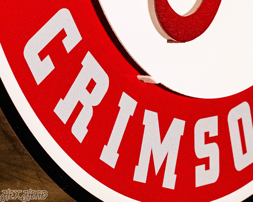 Alabama Crimson Tide 3D Vintage Metal Wall Art