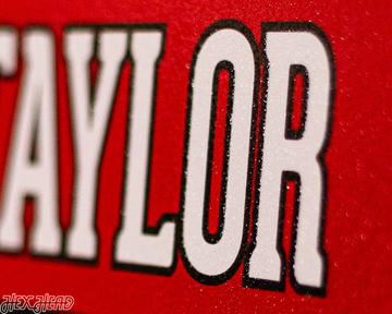 Toronto Raptors Personalized Monogram Metal Art