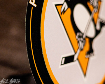 Pittsburgh Penguins "Double Play" On the Shelf or on the Wall Art