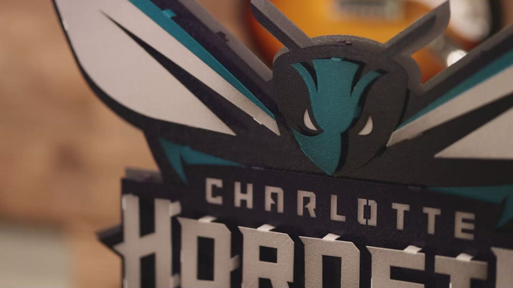 Charlotte Hornets NBA 3D Vintage Metal Wall Art