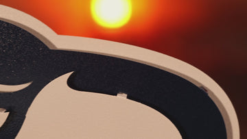 Seattle Seahawks Mascot 3D Vintage Metal Wall Art