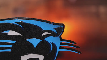 Carolina Panthers 3D Vintage Metal Wall Art