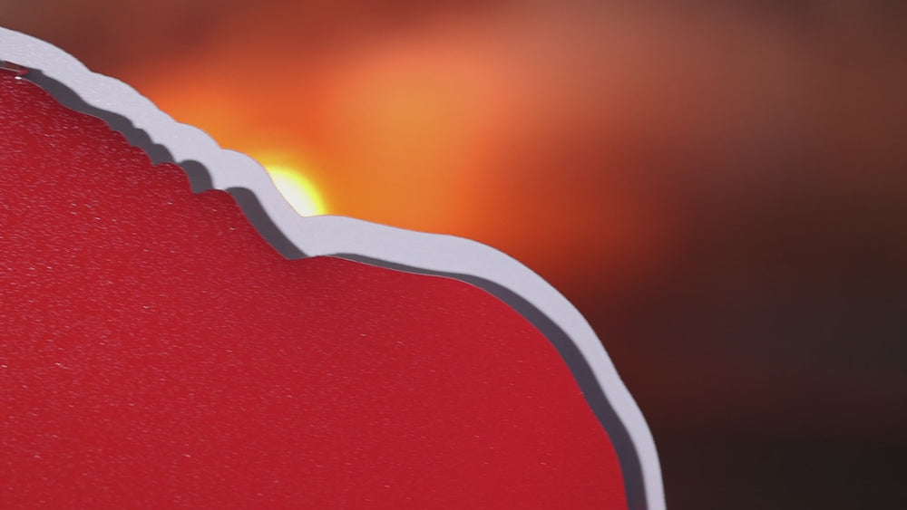 Buffalo Bills RETRO Buffalo 3D Vintage Metal Wall Art