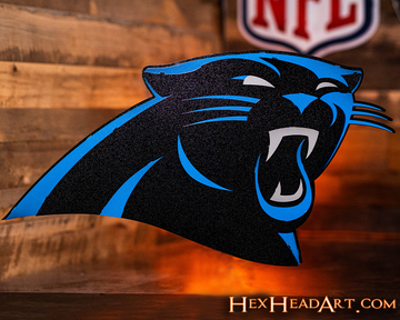 Carolina Panthers 3D Vintage Metal Wall Art