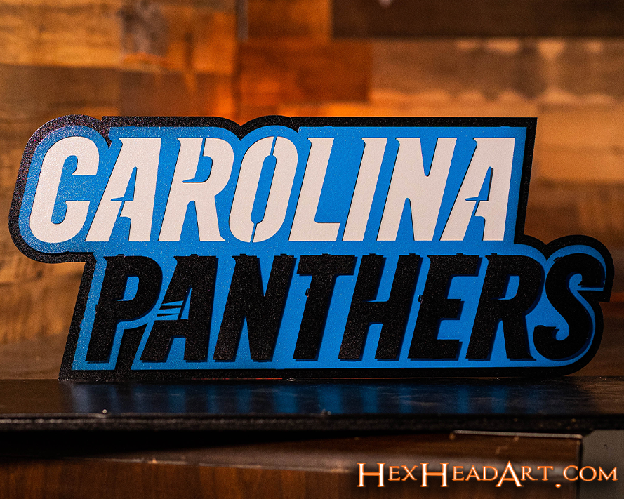 Carolina Panthers Namemark 3D Vintage Metal Wall Art