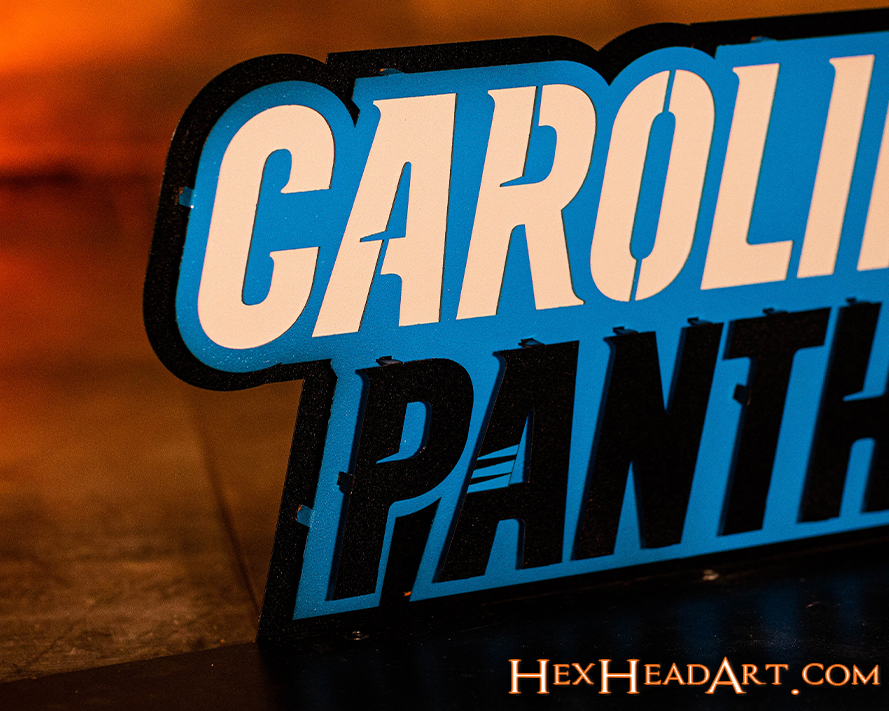 Carolina Panthers Namemark 3D Vintage Metal Wall Art