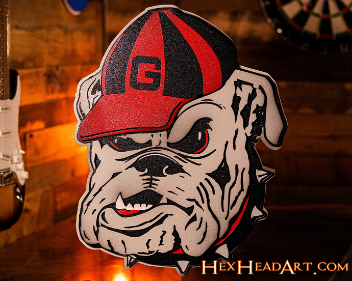 University Of Georgia Vintage Metal Wall Art – Hex Head Art