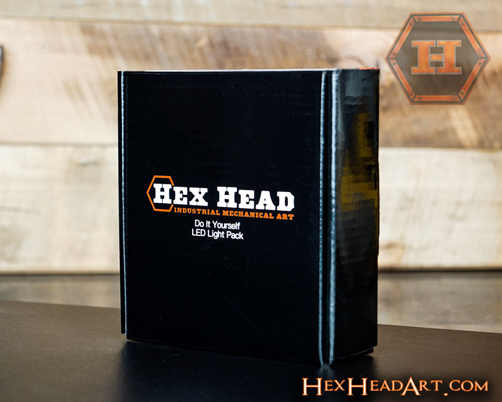 Hex Head LED "Do It Yourself" Light Package, w/ Remote Control 