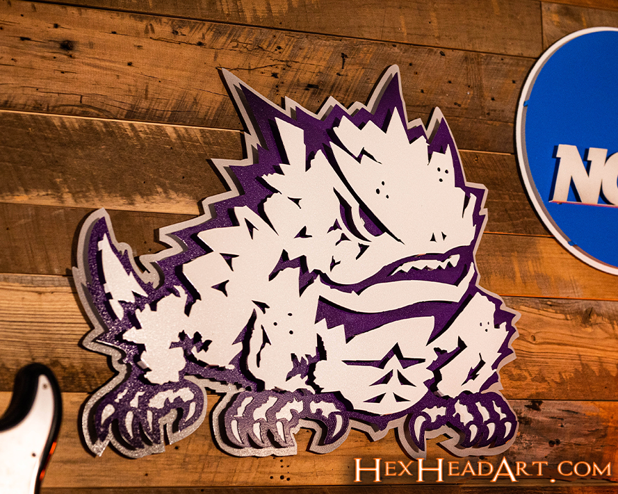 TCU Texas Christian "Horned Frog" 3D Vintage Metal Wall Art