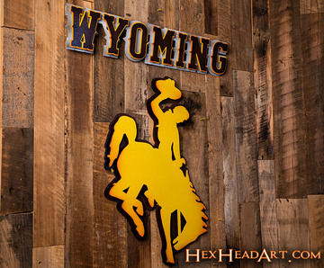Wyoming Cowboys Wordmark 3D Vintage Metal Wall Art