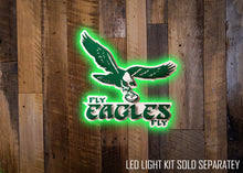 Load image into Gallery viewer, Philadelphia &quot;Fly Eagles Fly&quot; 1973 Old School 3D Vintage Metal Wall Art
